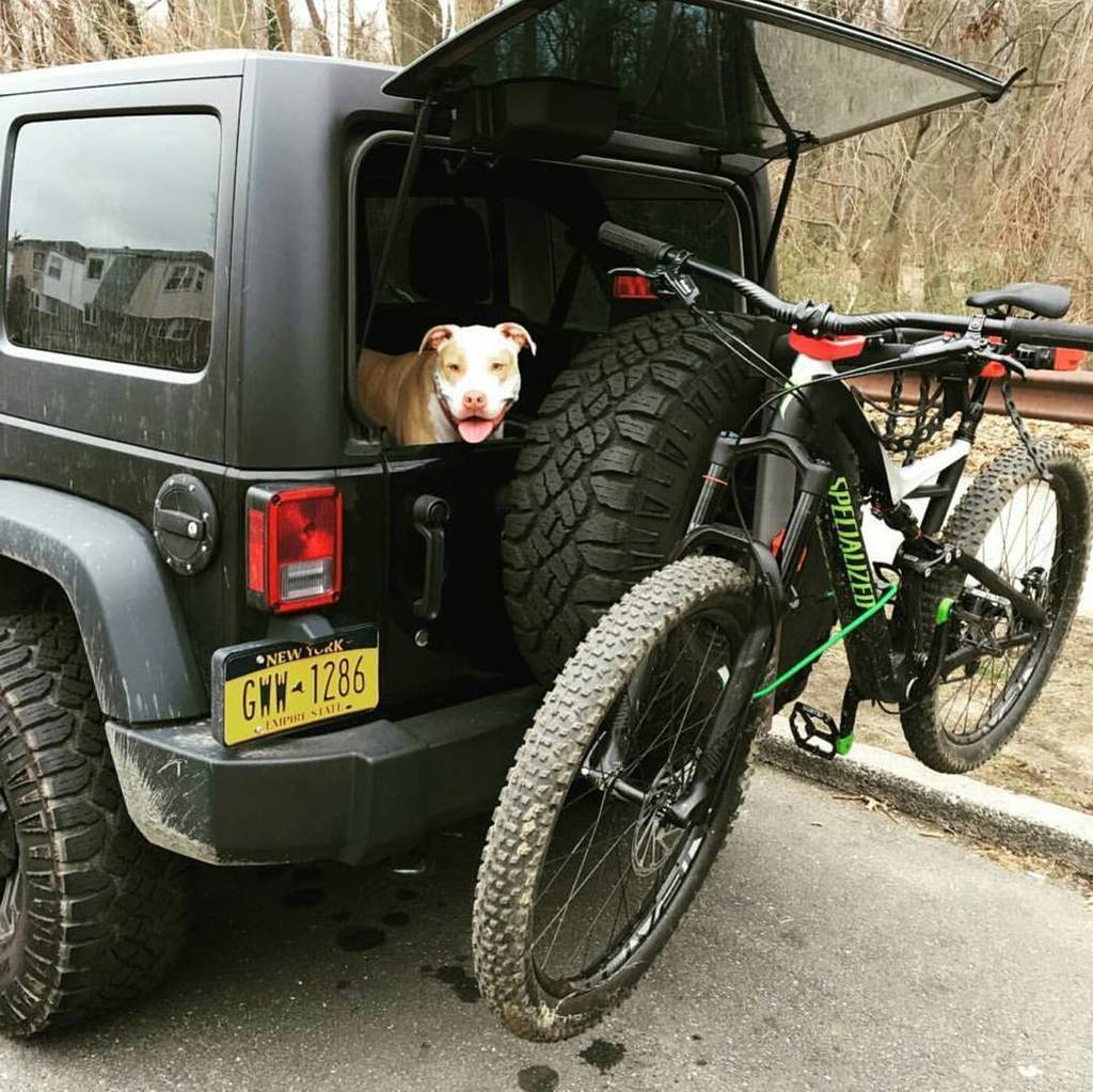 jeepindogs's tweet photo. @russ718 #jeepindogs #jeep #jeepdog #jeepdogs #jeepindog #jeeplife #jeepsarefordogs #itsaj… https://t.co/0CjJKDksI3 https://t.co/piqfgCMqBn