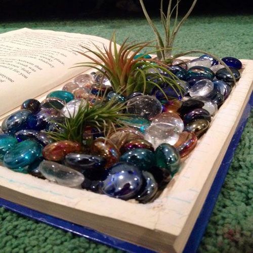 arizonapottery's tweet photo. An old book turned into a flowerpot for air plants. Love the colored glass beads. #oddpots https://t.co/jGcy6FplYX
