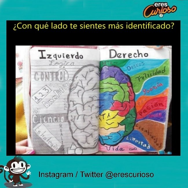 EresCurioso's tweet photo. ¿Con cuál? https://t.co/vbfuDnPxFF
