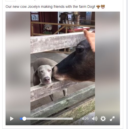 This dog tastes gooood! Jocelyn gives Cal a wash. Watch the video here ... facebook.com/166650432716/v…