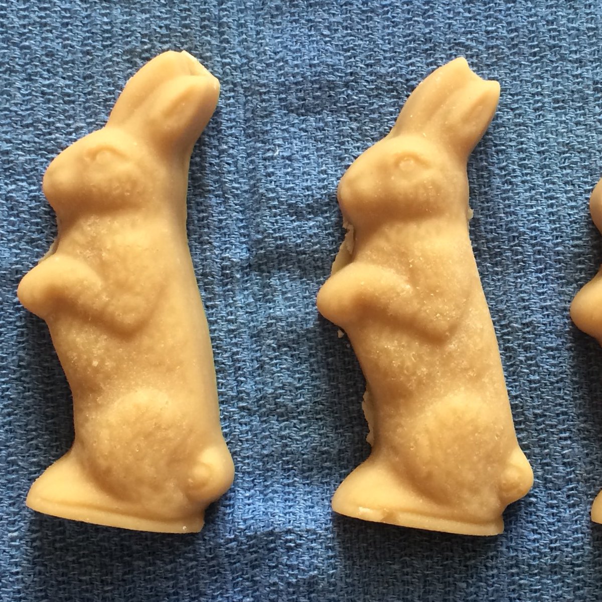 sandyconnolly's tweet photo. :-) @THISISVT: #vermont #bunny #springiscomimg https://t.co/MKxP1NjQt3