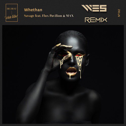thissongslaps's tweet photo. The mysterious @we5official goes completely "Savage" in this remix of @whethanmusic, @Fluxpavilion &amp; @Maxgschneider

https://t.co/HnYNiyGfzx https://t.co/GQREdBxtkv