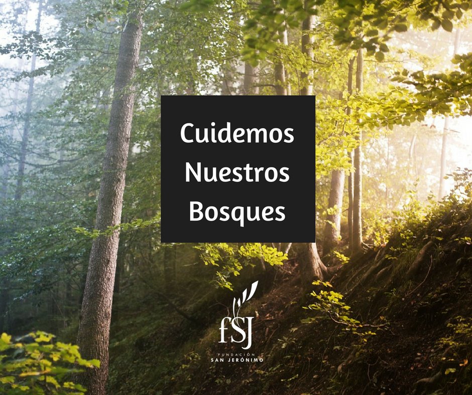 FundaciónSanJerónimo tweet media