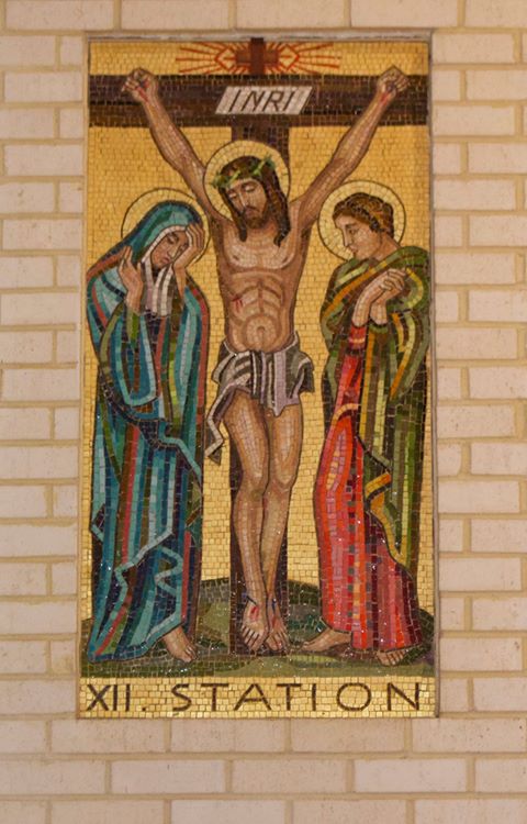 Pray the Stations of the Cross with us tonight at 6:00 pm and join us after for a  yummy fish plate in the PAC 5-7 pm!

#mercy