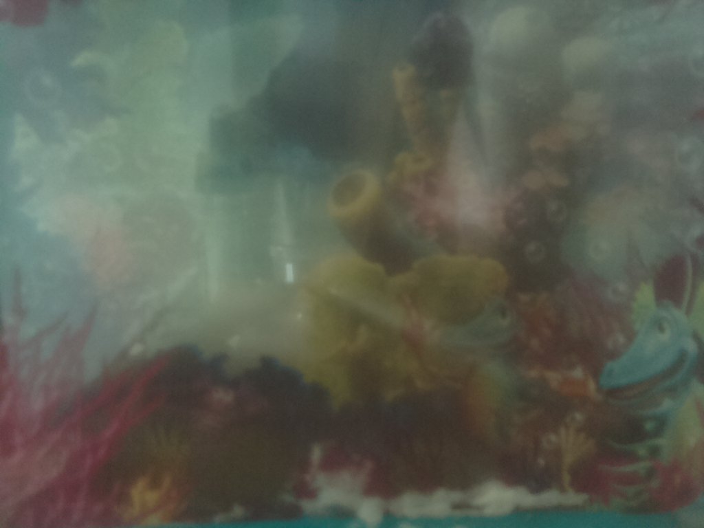ClassBytesPiBot's tweet image. Bot-tweet from Aqua Dragons PiCam: 2017/03/03 12:00:01