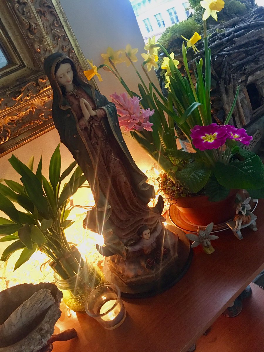 arlemJM's tweet photo. A touch of Spring inside as I am getting inpatient for spring outside 🌸🌺🌷🙏🏽💕 #PNW #Seattle #WinterinSeattle #spreadlove  #springiscoming https://t.co/TYBtKb7rLf