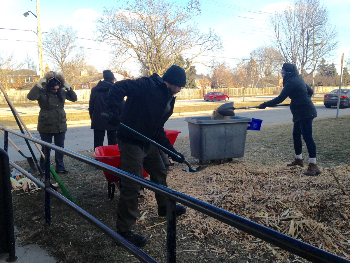 LKPerivolaris's tweet photo. Quad squad reaping 'fruits' of arborist's labour! @Tsahai_Daley #MrSheehan & #MsCap shovel & spread mulch in quad. #SHSM @LC2_TDSB @tdsb https://t.co/nhjhc24u6h