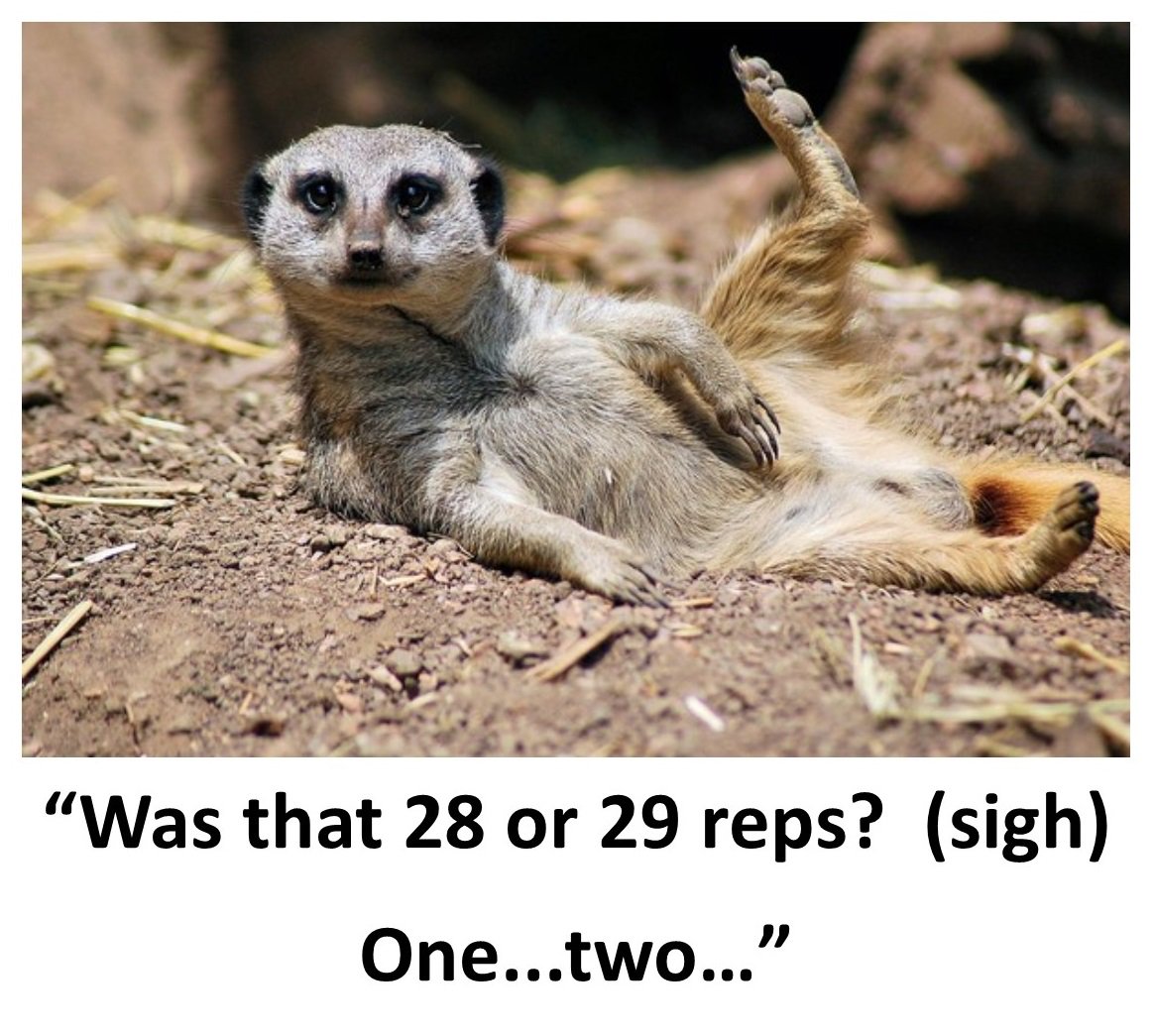 cathy_body's tweet image. Body Balance Physical Therapy celebrates National Wildlife Day! #HomeExerciseProgram #GetBetterWithPT
