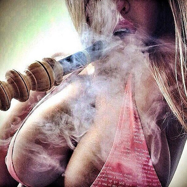 shisharatgeber's tweet photo. ulalala! 😍😘 #shisharatgeber #shisha #hookah #shishanews #shishatricks #koeln #wasserpfeife… https://t.co/vv3sJPUQHW https://t.co/WIgkMSSTzi