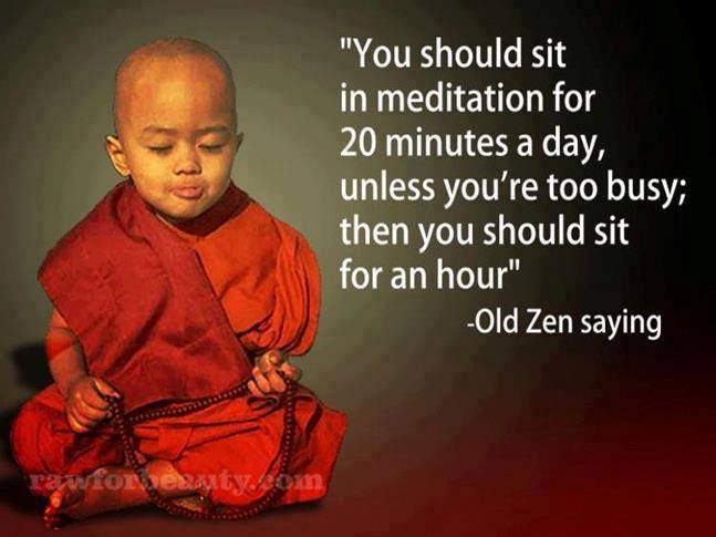 LTVitalWellness's tweet photo. Too busy to meditate? #meditation #healthyhabits #bhavanavibrantbody #mindfulness #timetomeditate #quietthemind #stateofcalm #wellness https://t.co/UhpV8KKXqb