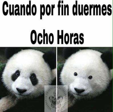 paitocaicedo's tweet photo. ☹️️jajajaj https://t.co/iOttpqtmit