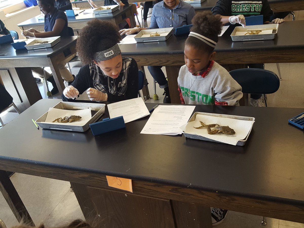 jwaggs_CIA's tweet photo. Had some fun learning while dissecting frogs today #rightafterlunch #ciarocks #180msdwarren https://t.co/DctMn15n1F