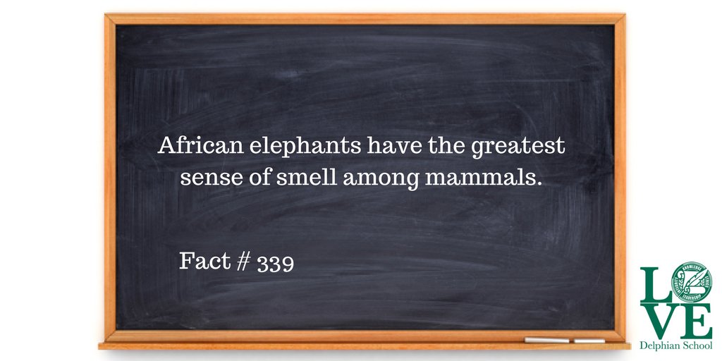 DelphianSchool's tweet photo. Fact #339. #DelphianFunFacts #FunFactFriday https://t.co/35Z5GNspTJ