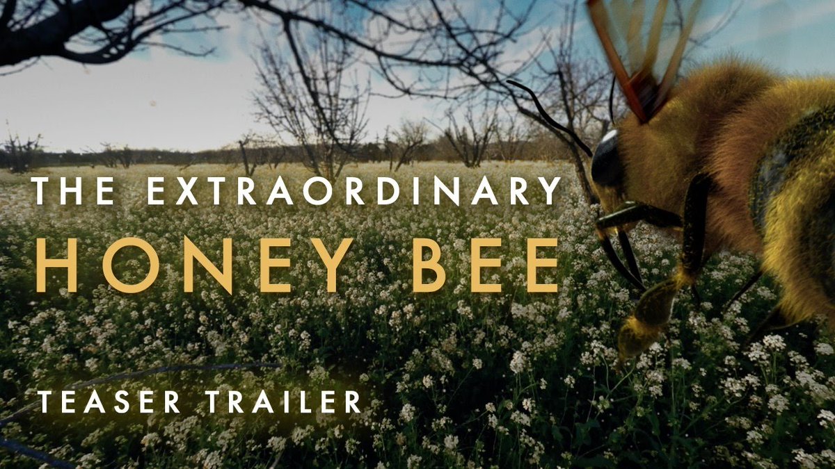 trendwatching's tweet photo. @HaagenDazs_US is using VR to teach people about the plight of the honey bee https://t.co/woKJa0yS6l #ETHICALEDUCATORS https://t.co/f5VZ0qtnDe
