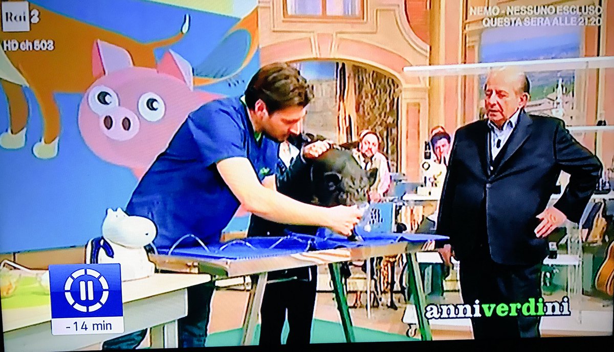 nonleggerlo's tweet photo. Grazie @BlobRai3. Mi ero colpevolmente perso l'aerosol al porcello di Magalli. https://t.co/iXQsTcSC39
