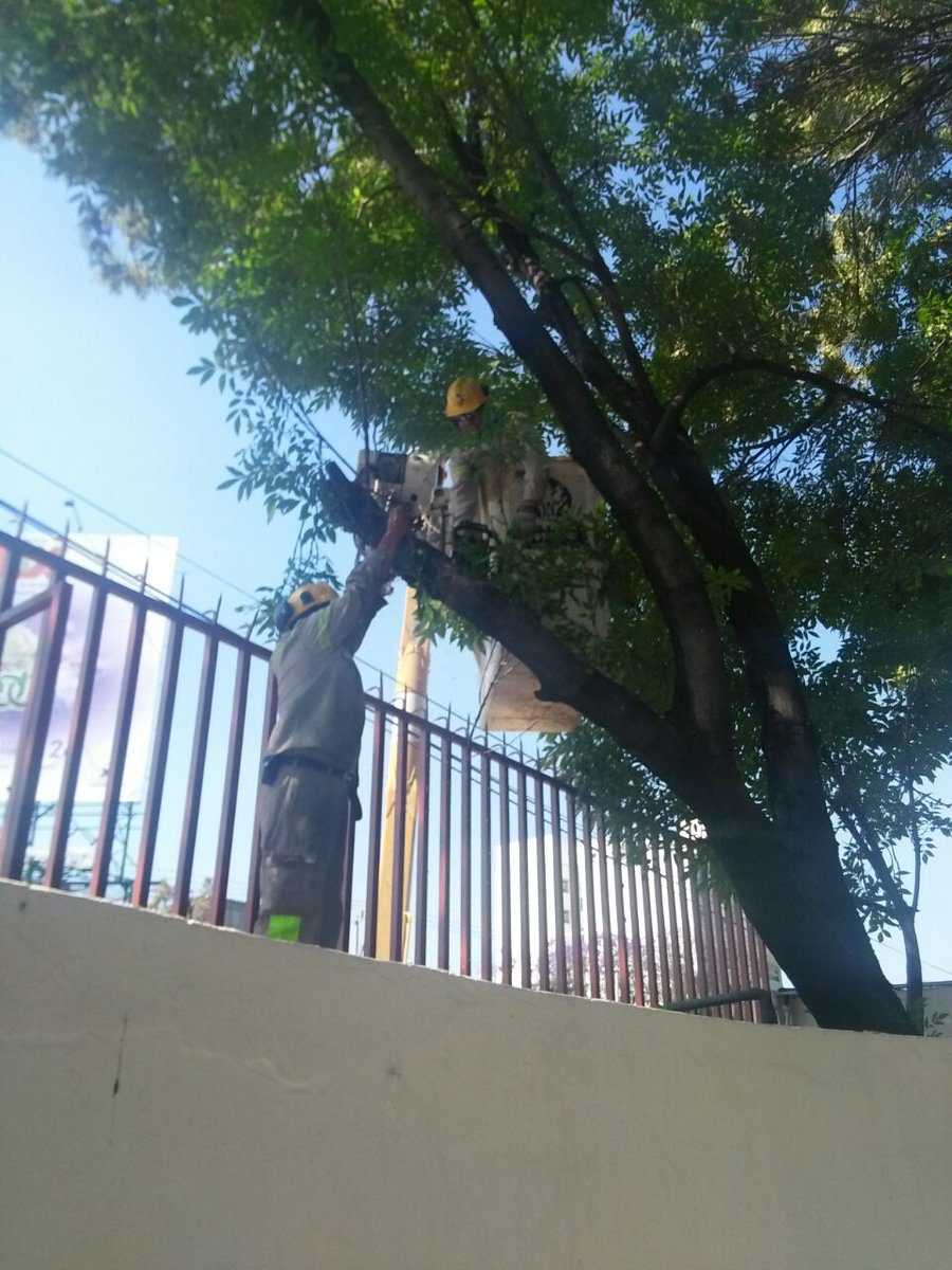 gamterritorial6's tweet photo. Un día en tu colonia presenté en San Bartolo Atepehuacan #lobo_GAM #gamenmovimiento https://t.co/uZgg7FuQOr