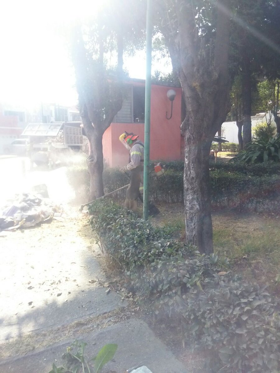 gamterritorial6's tweet photo. Un día en tu colonia presenté en San Bartolo Atepehuacan #lobo_GAM #gamenmovimiento https://t.co/uZgg7FuQOr