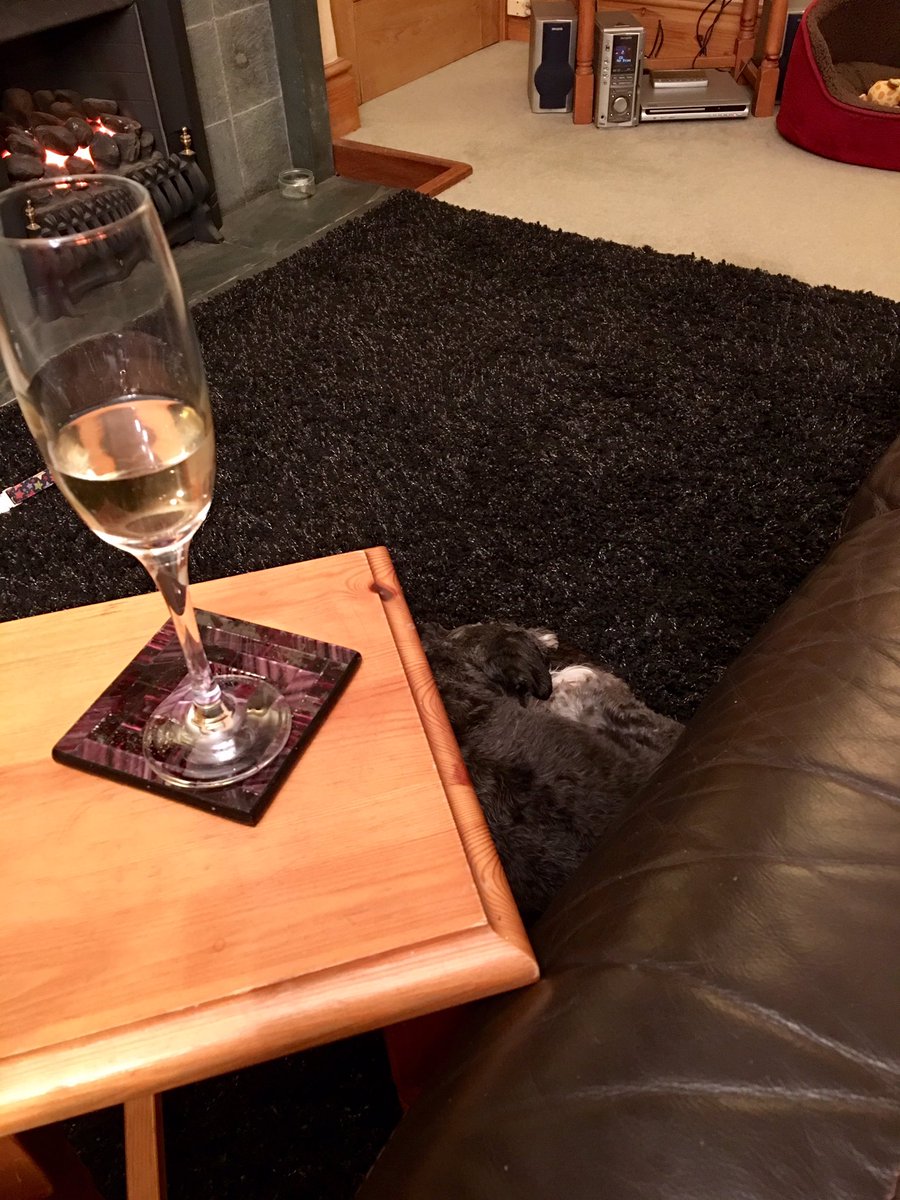 akaLittleWoof's tweet photo. #gotitsorted #happyschnauzer https://t.co/h9y3MKjVNI