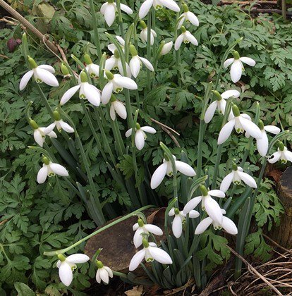 Need an excuse to get out of the house Saturday? Come to the Farmers' Market in St Ives! flow.stivestowncouncil.gov.uk/2017/03/03/nee…