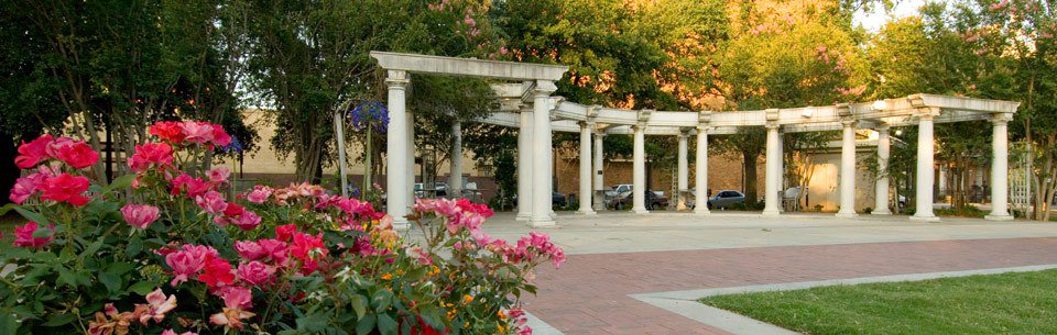 oldshelltrolley's tweet image. OSTC Update March 3-4 oldshelltrolleyclub.com/2017/03/03/ost…