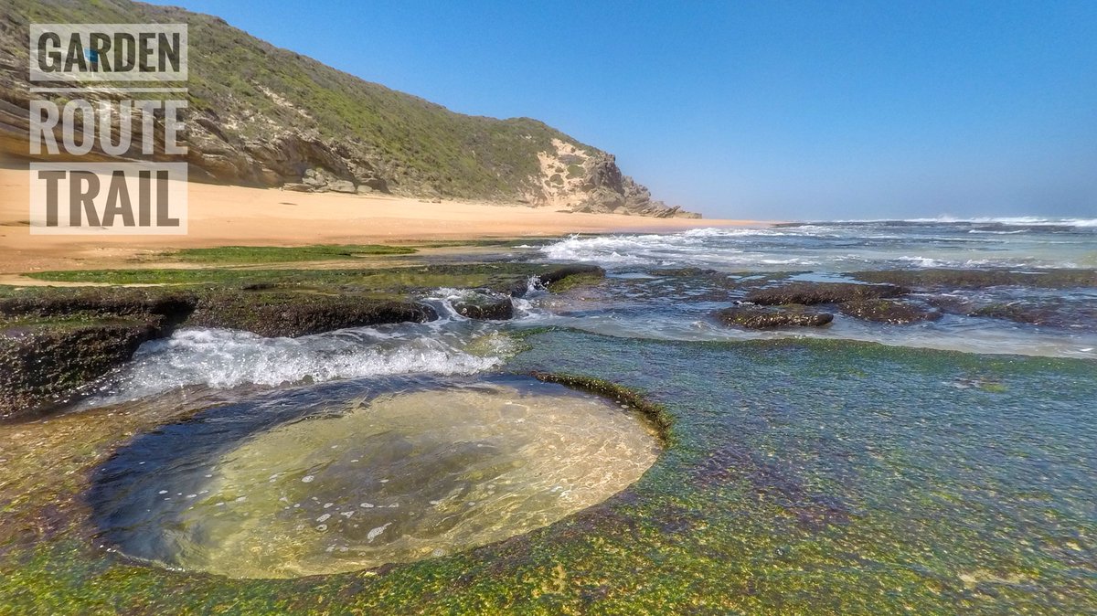 CoastalWalk's tweet photo. #shutterwalk #photosafari in the #GardenRoute #GardenRouteTrail #hikingculture #Sedgefield #knysna #photography #grt2017 #daywalk #nature https://t.co/YDNWB4hfil