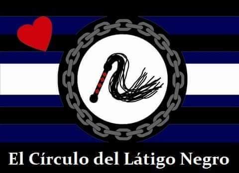 Circulolatigonegro tweet media