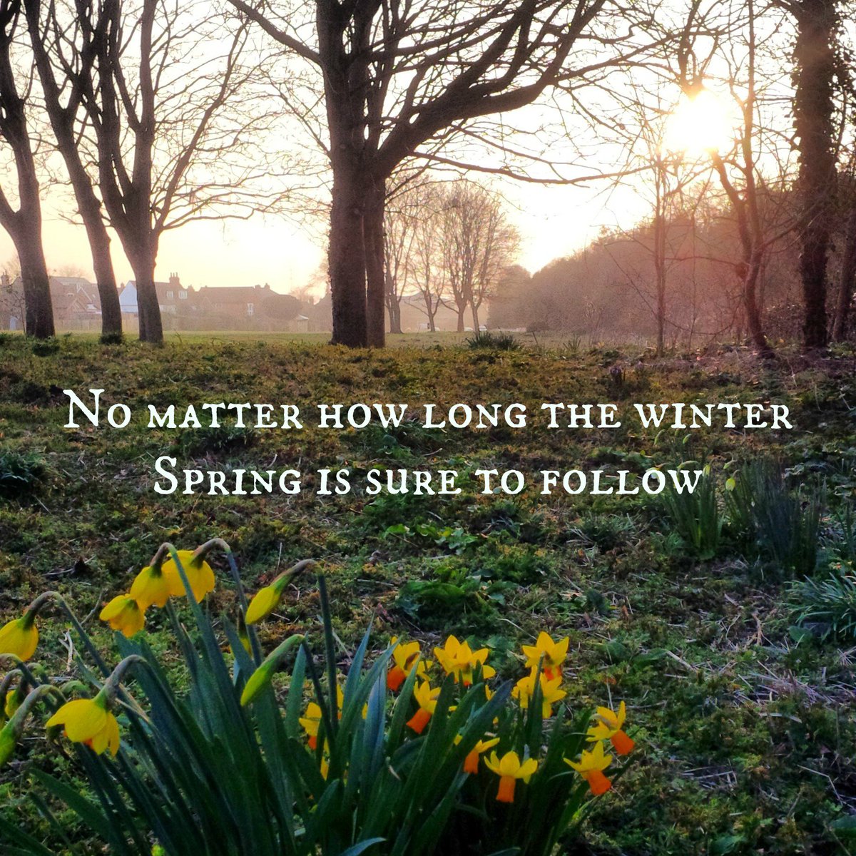 Nest Home & Café (@nesthomeandcafe) on Twitter photo 