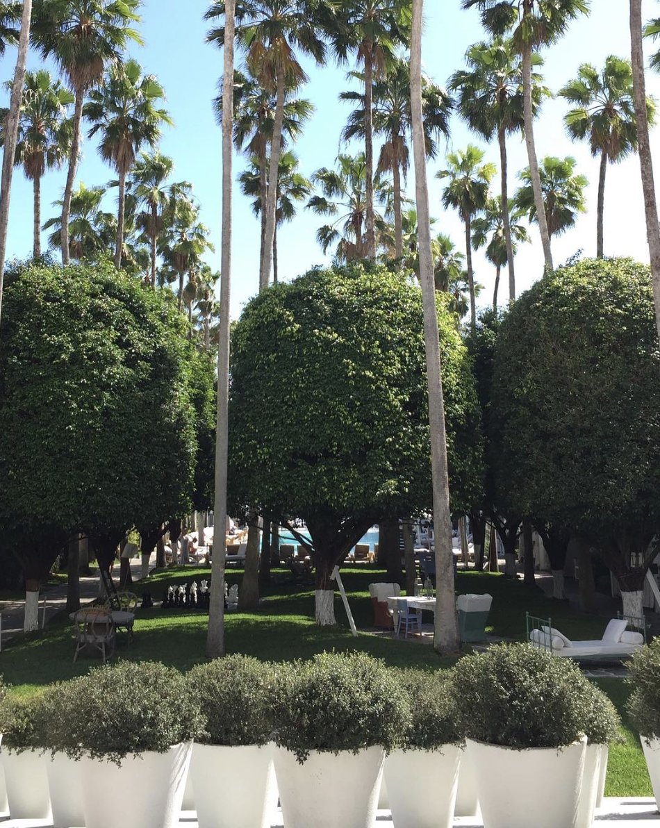 End the week relaxing in the orchard before heading inside for #cocktailhour by the bar.🌳 #MeetAtRoseBar #WorldOfsbe