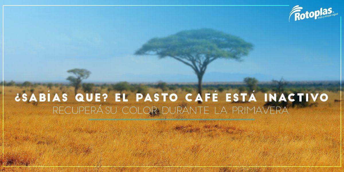 ¿Sabías que durante el otoño las hojas y el pasto cambian de color? Permite que la naturaleza siga su curso y ahorra agua.