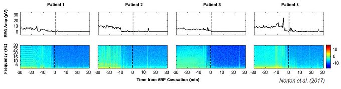 Посмотреть изображение в Твиттере Посмотреть изображение в Твиттере