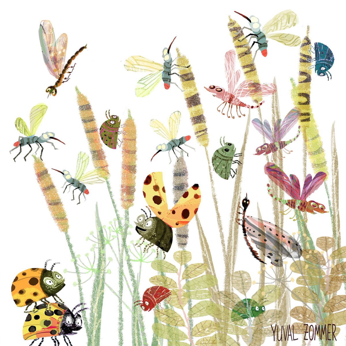 80% of all known species are invertebrates! Remember it's the small things that run the world this #WorldWildlifeDay <a href="/WstLondonGarden/">🌱 London Garden</a>
