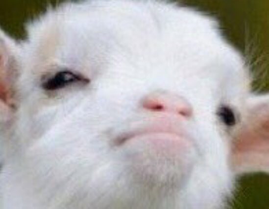 LKudis's tweet photo. That face people make when you pass them in the hall and they don't know if they should say hi or just smile https://t.co/ehIYU3CZ1C