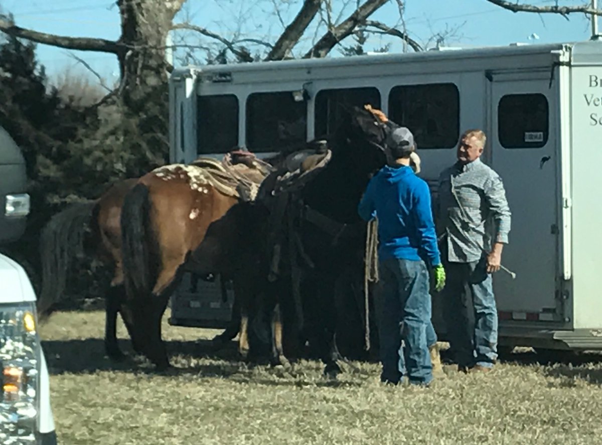 LenexaPolice's tweet photo. Update: Cavalry 🤠has arrived and r attempting to round up  loose cattle.  Focus primarily around K-10/Renner. Trying to prevent 🐄🚗 accident https://t.co/RACLEid2aA
