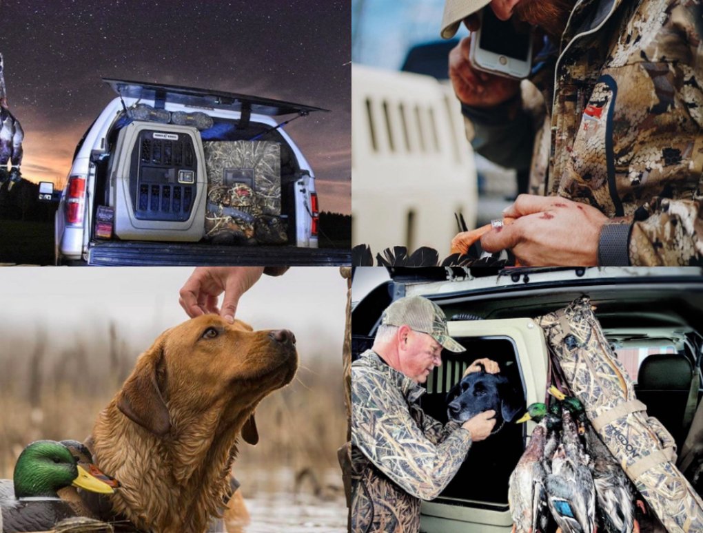 Gunner_Kennels's tweet photo. We asked for epic moments & we got them. See who captured the top photo to win our inaugural #GunnerEffect contest: https://t.co/kpRtyqPrhP https://t.co/zppDGJafcE