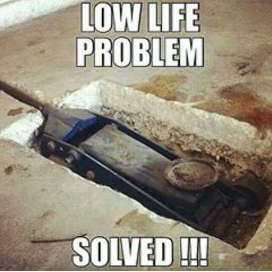 DIYauto_com's tweet photo. Tag someone who has trouble lifting their car.
#lowlife #dropped #layingframe #static #datlyfe https://t.co/O3iCEyQy2W