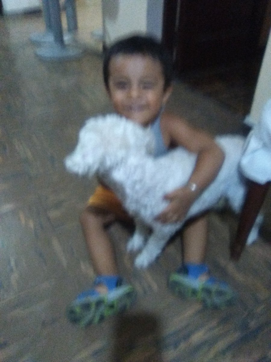 jamylew's tweet image. Liamcito jugando con su preciosa 😙