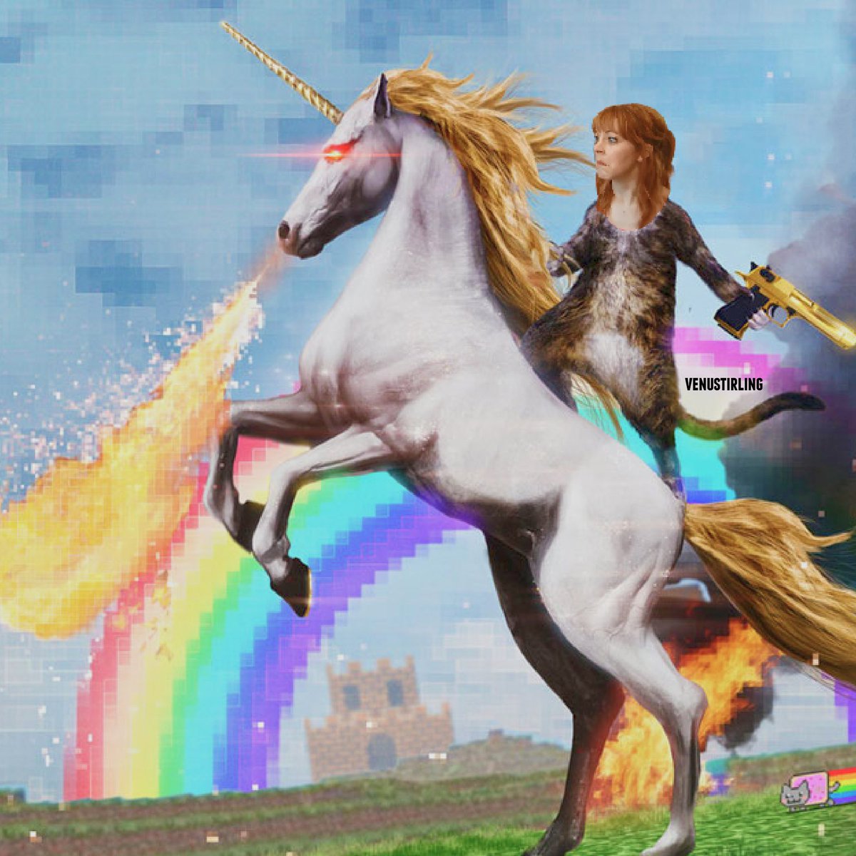 venustirling's tweet photo. Lindsey on a unicorn! New edit @LindseyStirling https://t.co/2biMC9oPBY