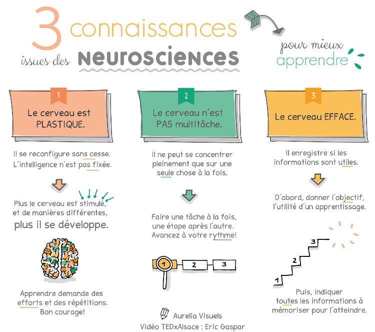 AliceVachet's tweet photo. [Le Saviez-vous] 3 connaissances issues des #neurosciences @TEDxAlsace https://t.co/LEhg9TrCnK