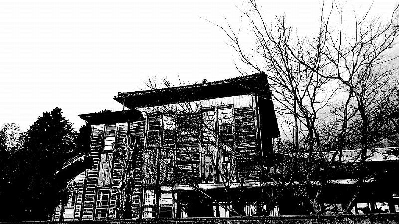 信州大学繊維学部