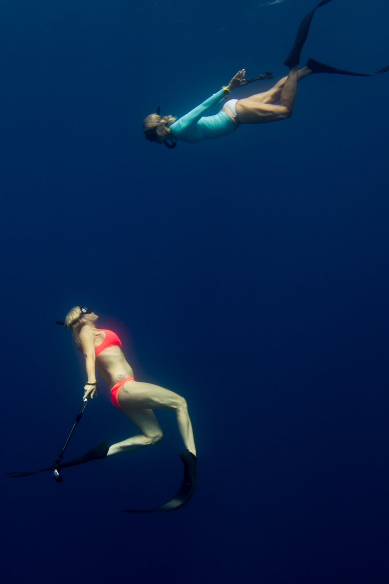 Scuba Diver Girls tweet media