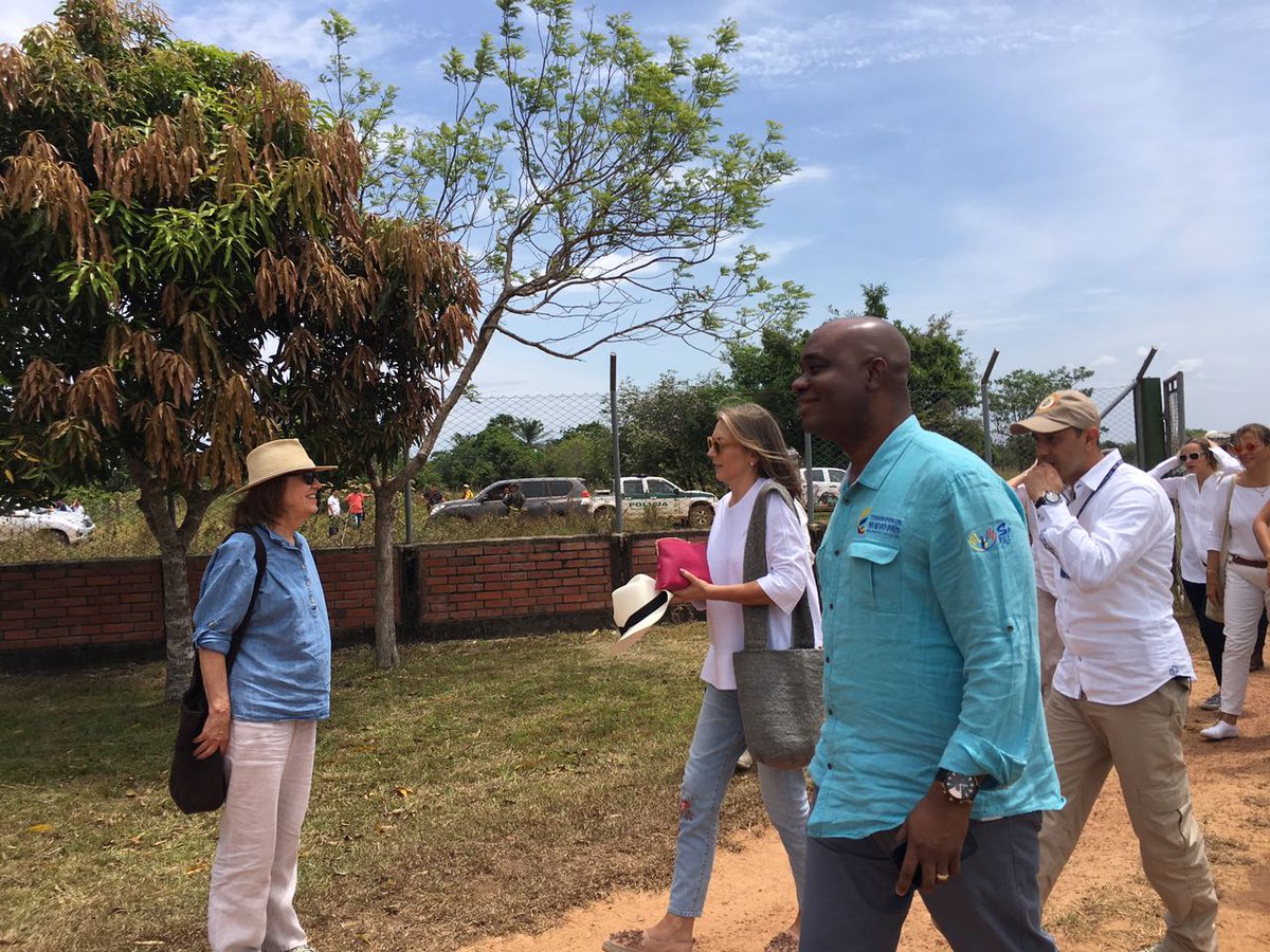 LuisGMurillo's tweet photo. Hoy junto a @Tutina_deSantos liberamos 300 tortugas charapa como símbolo de reconciliación con la naturaleza. #DíaMundialDeLaVidaSilvestre https://t.co/xIbHAWHtbE