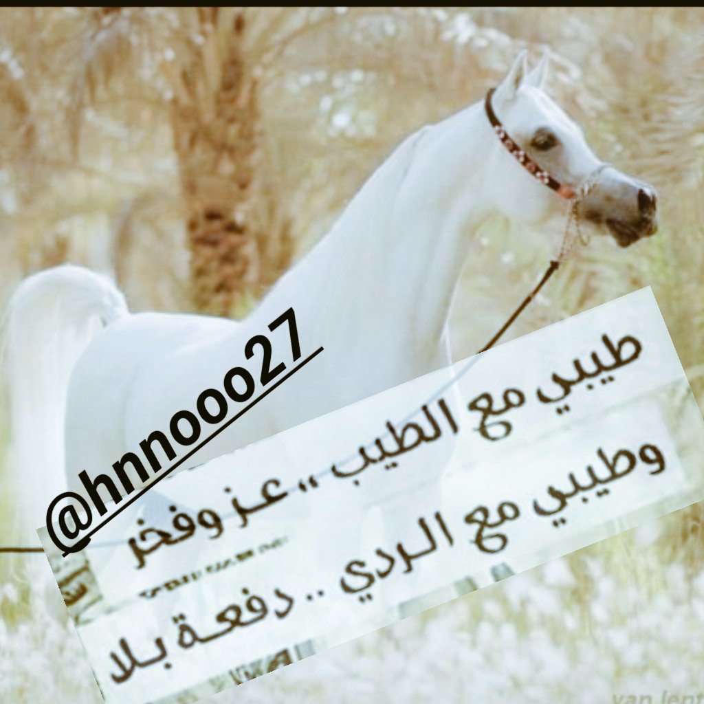 عفواً ! انا رجل يجريّ في شراييني صفة العِناد
ولنْ آخضع لـِ سلطة احد
ولنْ انحنيّ سجوداً الا لـِ خالقيّ . .!