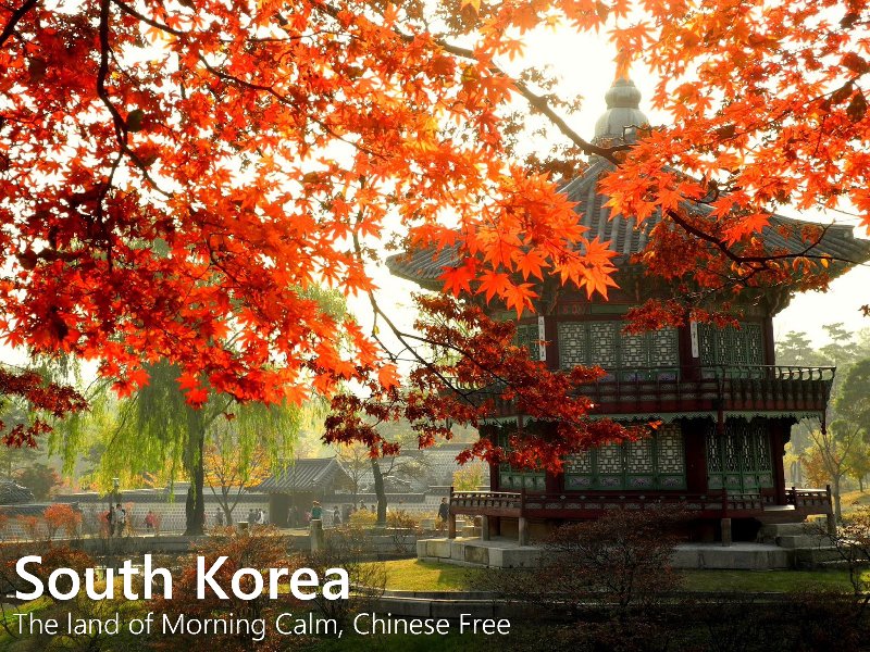 ReinerSchwarz's tweet photo. The land of Morning Calm, Chinese Free!중국인이 없어 조용한 아침을 맞이할 수 있는 한국으로 오세요! https://t.co/27lqiyJqEU