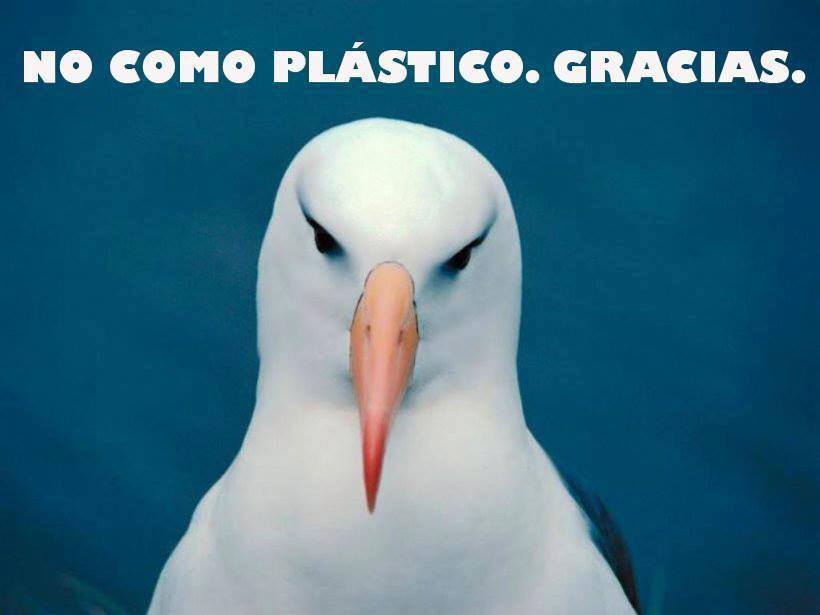 #SaveTheAnimals Pass on single-use plastic today! #WorldWildlifeDay bit.ly/2cQugHU