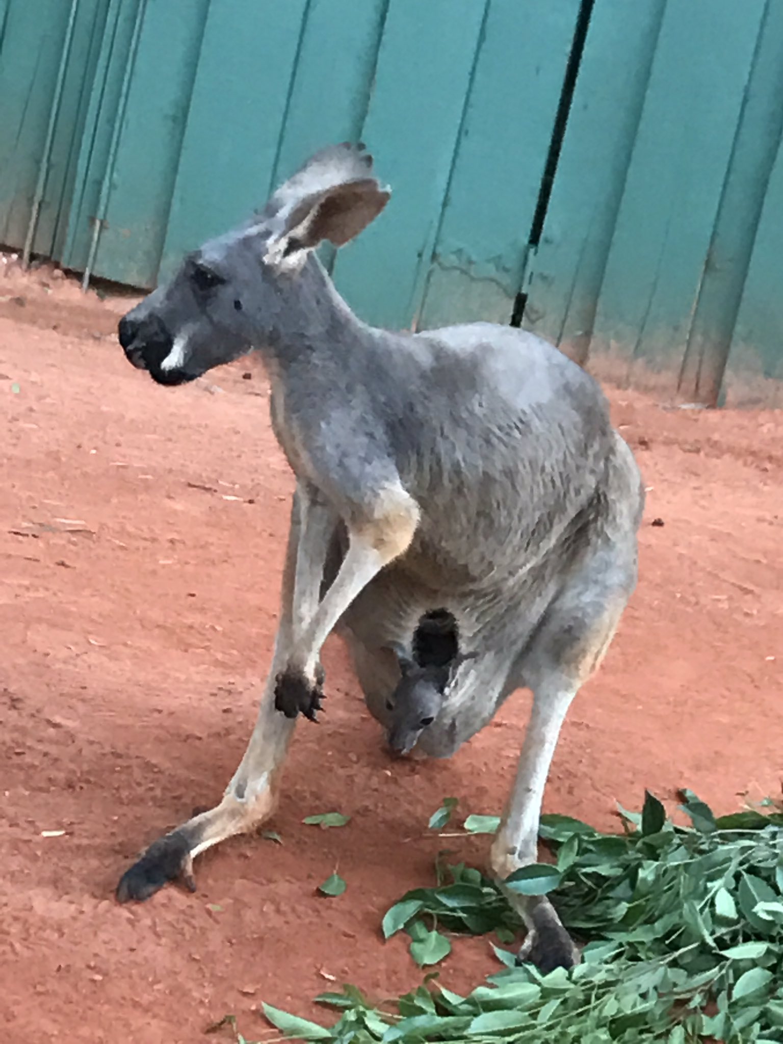 Jenn Tracker on Twitter: 