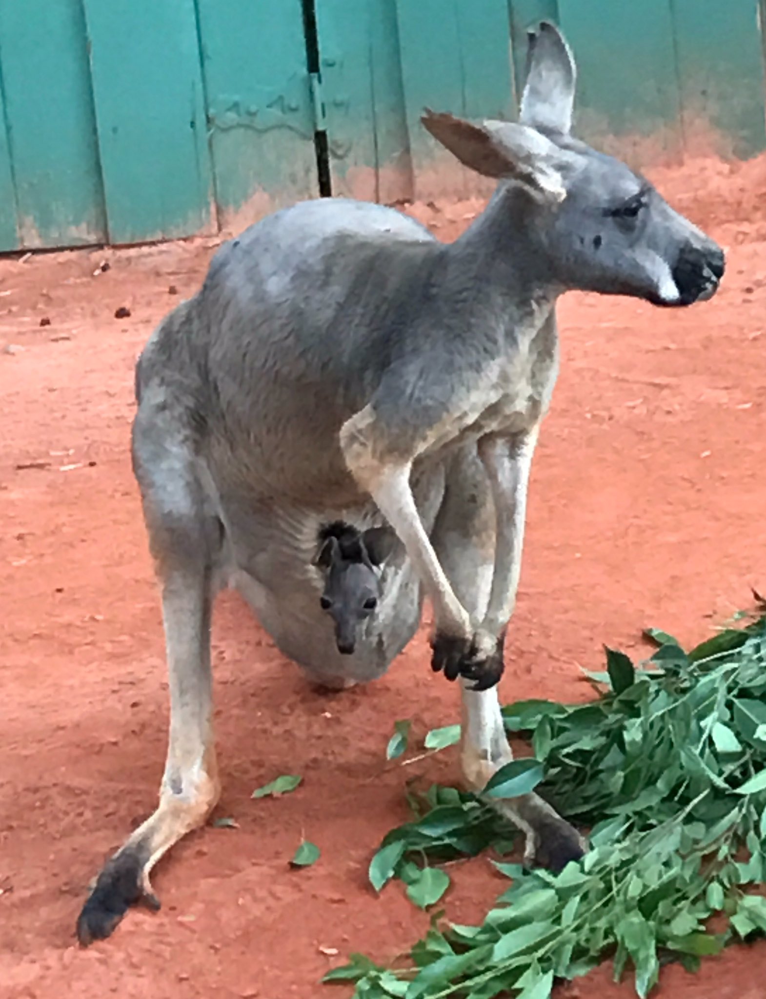 Jenn Tracker on Twitter: 