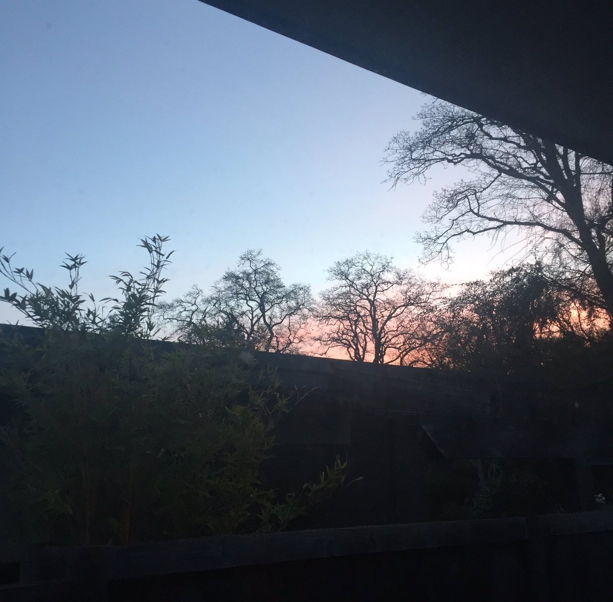 SallyDAngelo's tweet photo. Sunrise before a day of meetings, decks, reporting. #marketing #data #sales #smart #focus #delivering https://t.co/DVjcCKHgxE