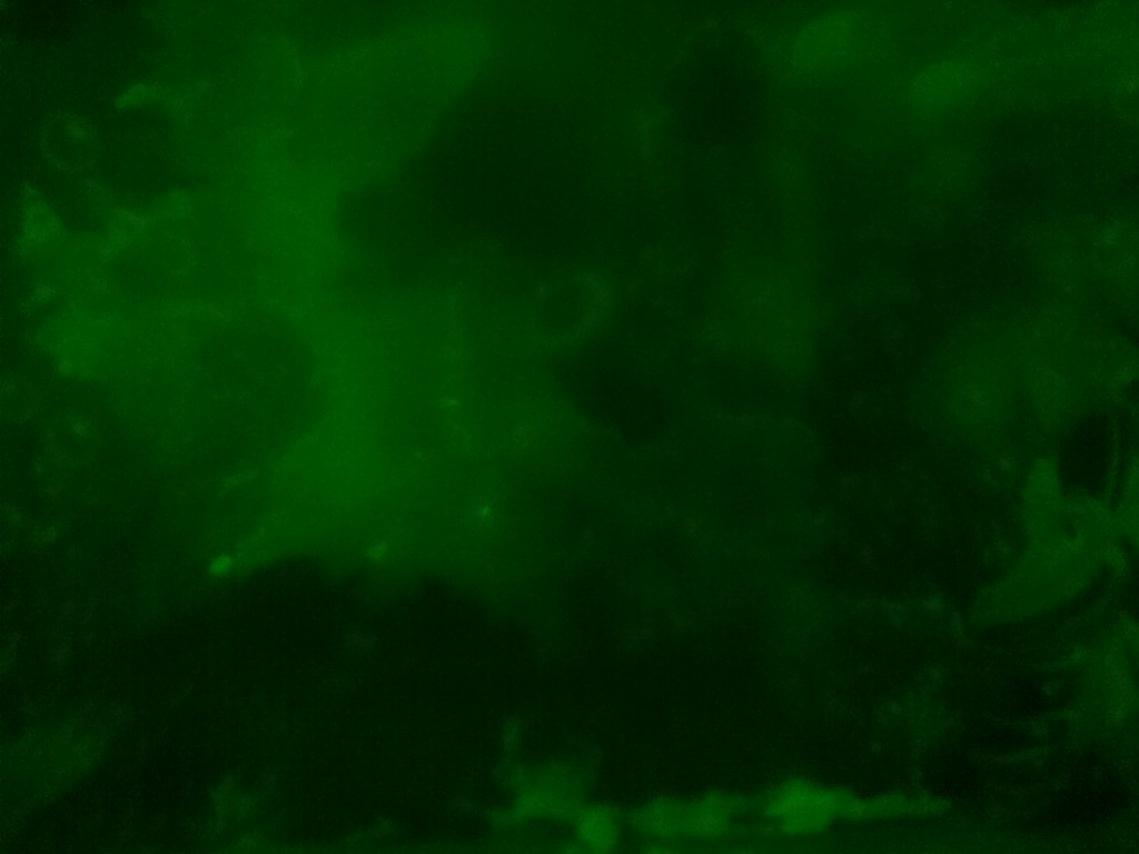 ClassBytesPiBot's tweet image. Bot-tweet from Aqua Dragons PiCam: 2017/03/03 18:00:02