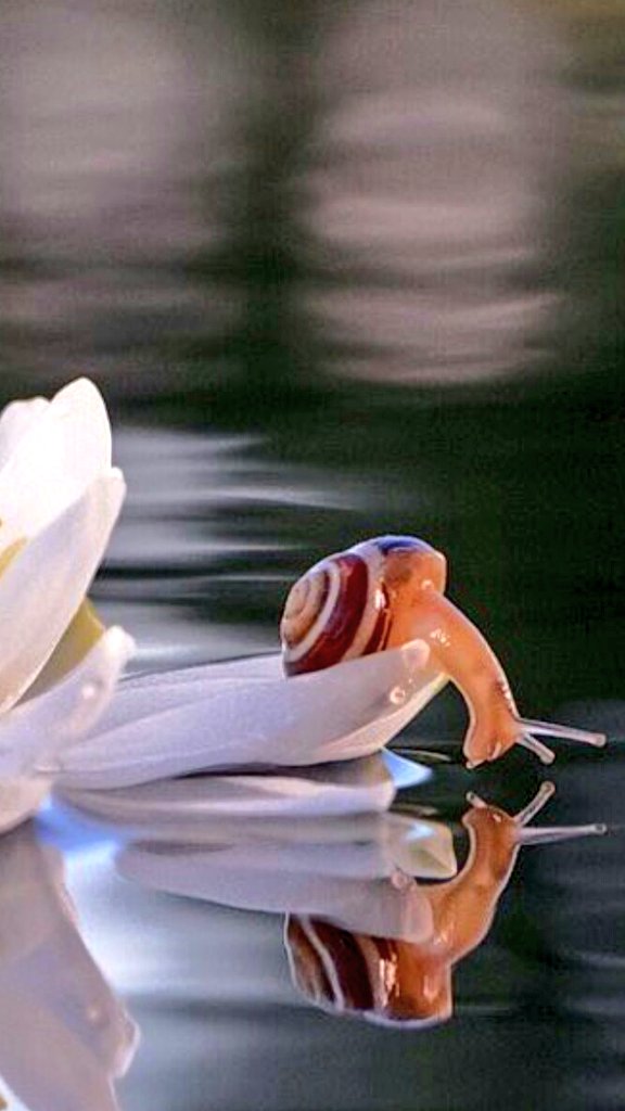 goyotocho64's tweet image. .........         TOM  WAITS         ..........
                take it with me
...Todo lo que buscas está en Ti...
youtu.be/Dixxse4dpQ4