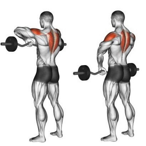 anabolicminds's tweet image. Build Boulder Shoulders With These 3 Supersets:   Most fitness-oriented people… anabolicminds.com/articles/build… #Training #barbellrow #facepull